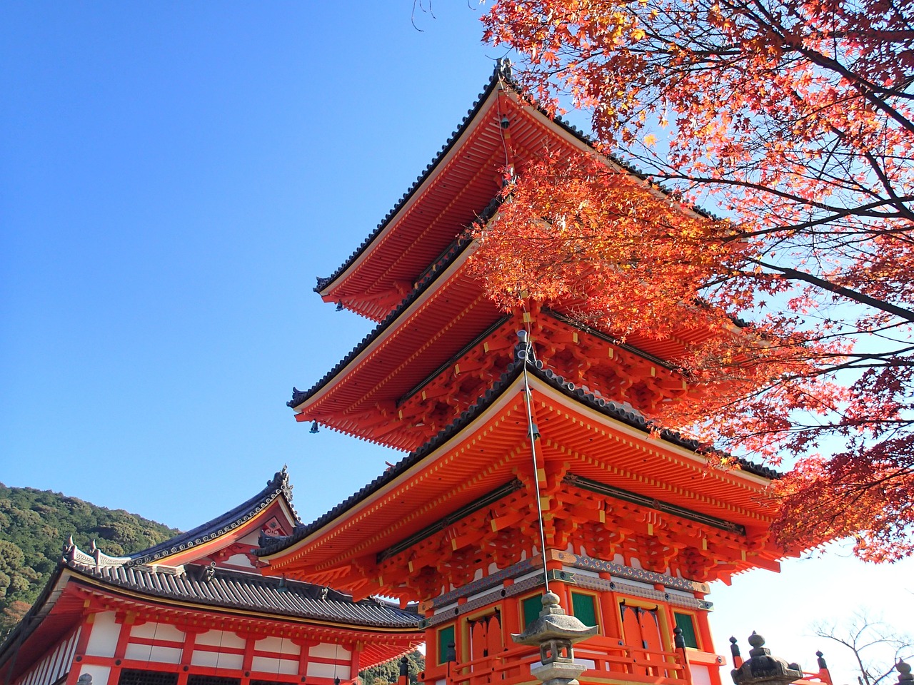 浮気調査　京都