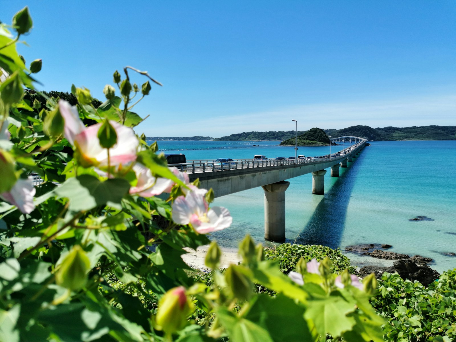 浮気調査　沖縄