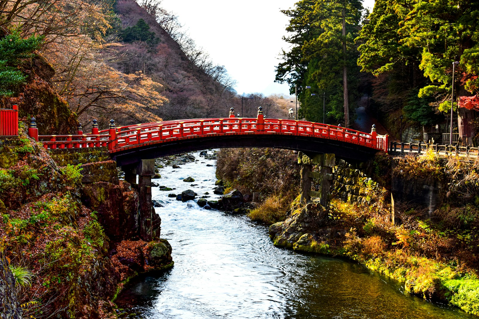 浮気調査　栃木